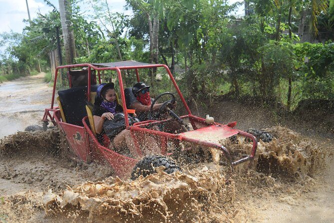 Platinum Buggy Adventure - Quick hits