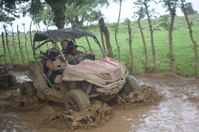 Platinum Buggy Adventure - Timing, Departures, and How to Plan Your Day