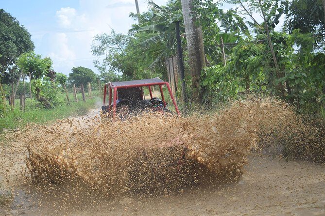 Platinum Buggy Adventure - Price and Value: Why $65 Can Make Sense Here