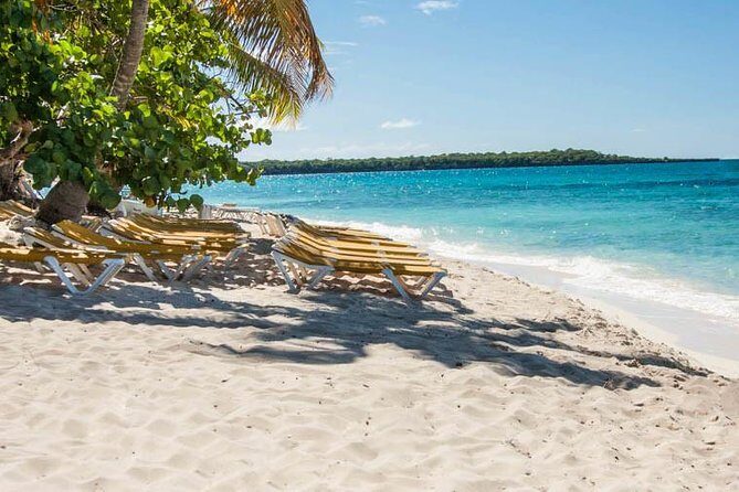 Platinum Catalina Island and Chavon River - Catalina Island National Park time: using your afternoon wisely