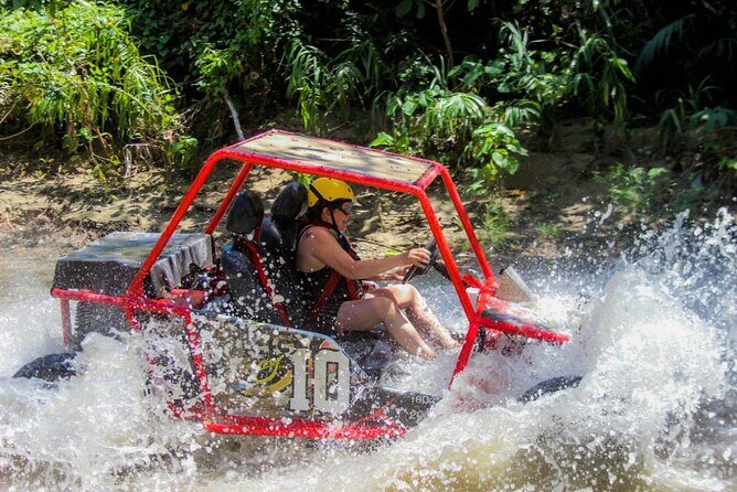Pop Buggy Excursion from Amber Cove and Taino Bay Puerto Plata - Key Points That Matter Before You Go