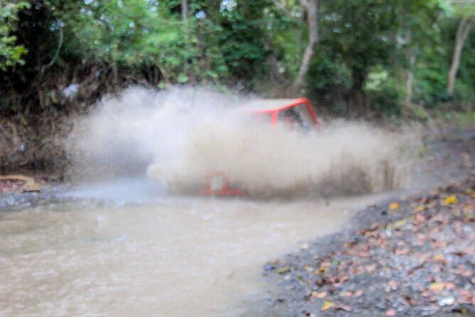 Pop Buggy Excursion from Amber Cove and Taino Bay Puerto Plata - Beach Breaks and the Real-World Cash Tip