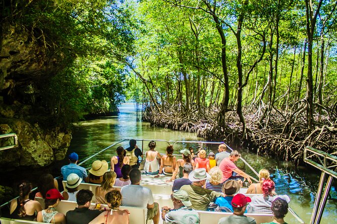 PRIVATE: 3in1 - Los Haitises N.P. + Y. Waterfall + Mount. Redonda - Key Things That Make This 3-in-1 Worth Your Time