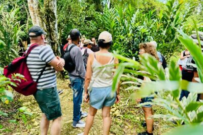 PRIVATE: 3in1 - Los Haitises N.P. + Y. Waterfall + Mount. Redonda - Salto de Yanigua (Yanigua Waterfall): Swim, Clay Spa, and Plantation Lessons