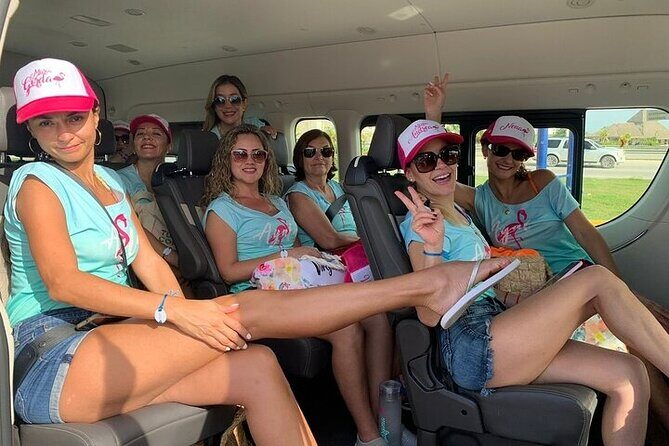 Private Airport Transfer to/from Punta Cana Airport and La Romana - Private van details: comfort, cleanliness, A/C, and water