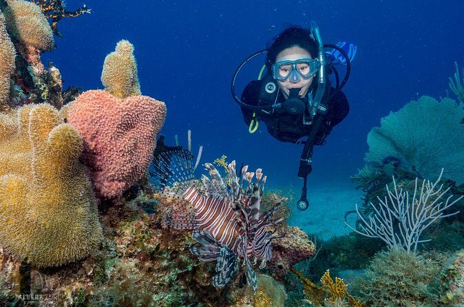 Private Bayahibe 3 Tank Diving with Lunch from Punta Cana - How the Scuba Leader Picks the Best 3 Spots