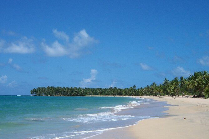 Private Boat Nature Tour of Limón Beach and Lagoon - Key things I think are most worth your attention