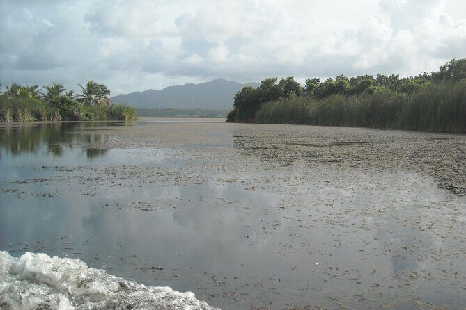 Private Boat Nature Tour of Limón Beach and Lagoon - Price and value: is $290 per person a smart deal for a private tour?