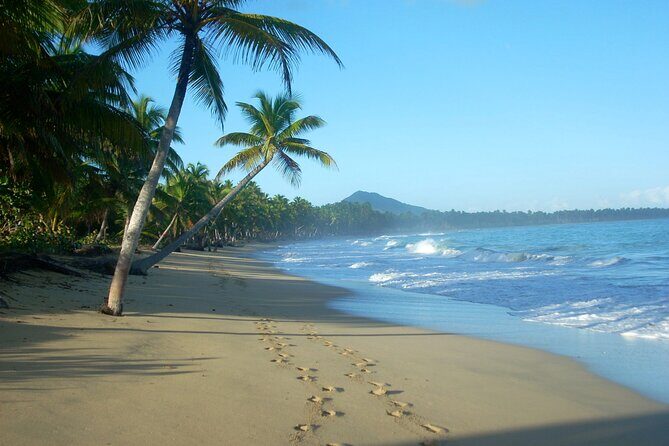 Private Boat Nature Tour of Limón Beach and Lagoon - How to think about the crowds (without wishful thinking)