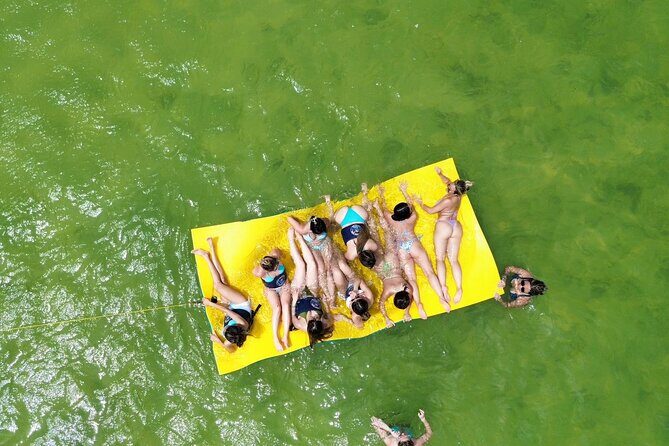 Private Cruise Party and Snorkeling in Punta Cana - Dolphin spotting and what you should expect from it
