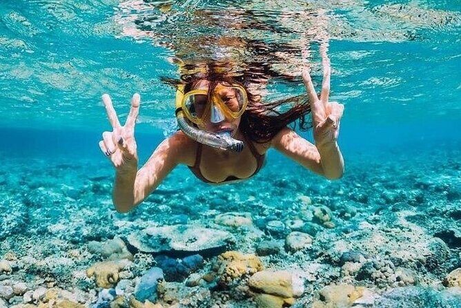Private Cruise Party and Snorkeling in Punta Cana - The open bar setup and how to use it responsibly