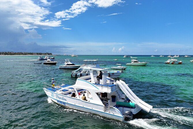 Private Cruise Party with Drinks and Snorkeling in Punta Cana - The 10-minute island view: dolphins and sharks, from the waterline