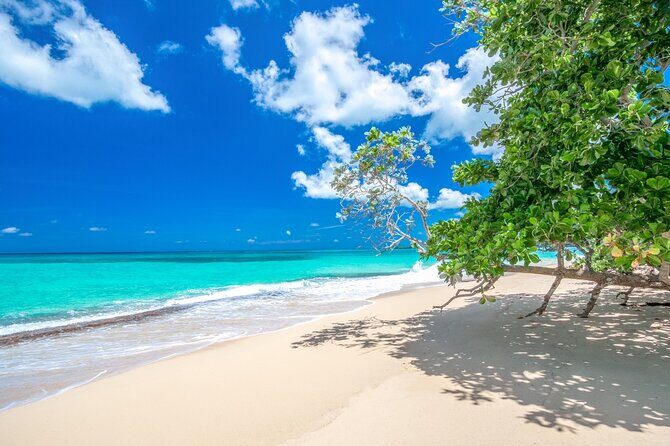 Private Full Day Beach Tour in Puerto Plata - Key highlights worth knowing