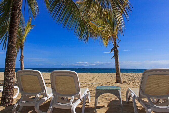 Private Full Day Beach Tour in Puerto Plata - Price and what you actually get for $80