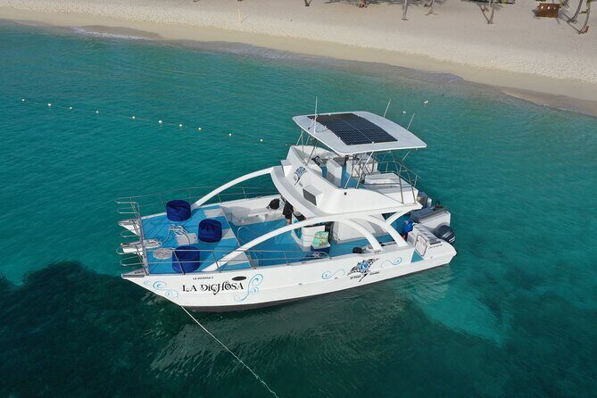 Private Full Day Charter to Saona Island from Punta Cana - Key highlights to know before you go