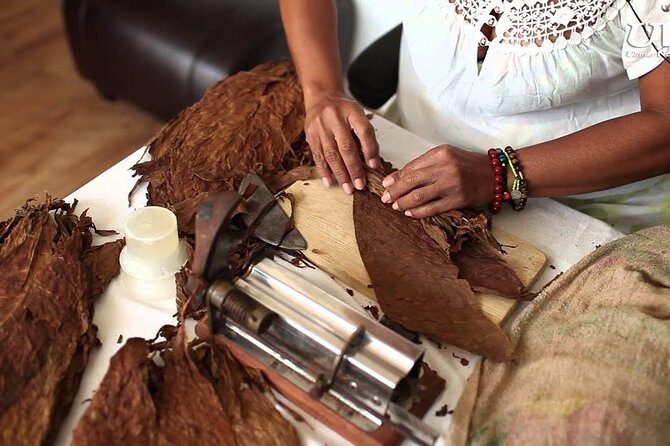 Private Higuey City Tour Real Life in Punta Cana (Half Day) - Coffee, cocoa, and cigar factory: local work that’s tied to the land
