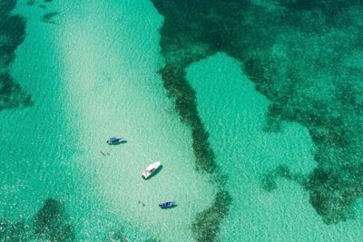 Private Isla Saona Boat Tour – Snorkeling Premium Drinks & Buffet - Getting to the marina: Punta Cana pickup and an 8:00 am start