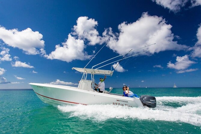 Private Isla Saona Boat Tour – Snorkeling Premium Drinks & Buffet - A private boat for up to 6: who this suits best