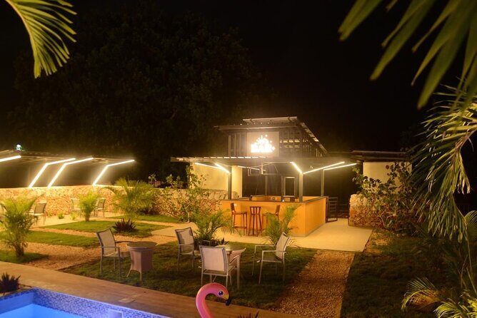 Private Night Tour in Buggy with Party in Punta Cana - Key highlights