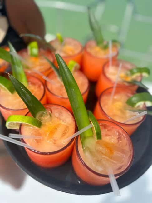 Private Party Boat Tour with Drinks and Snacks in Punta Cana - The reef snorkel: what you’ll do and why guidance helps