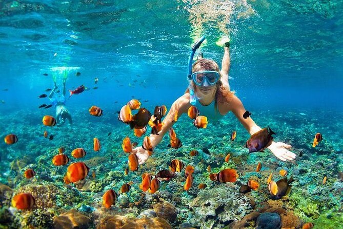 Private Party Boat with Snorkeling in Playa Bibijagua - Who This Private Party Boat Fits Best