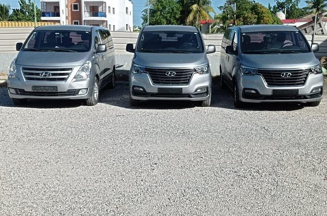 Private Roundtrip Transfer from Punta Cana Airport to Hotels - Who This Transfer Is Best For (And Who Might Want Another Option)