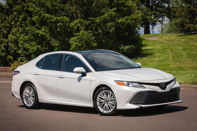 Private Sedan in Punta Cana Airport to Punta Cana Hotels - Key Things I’d Pay Attention To