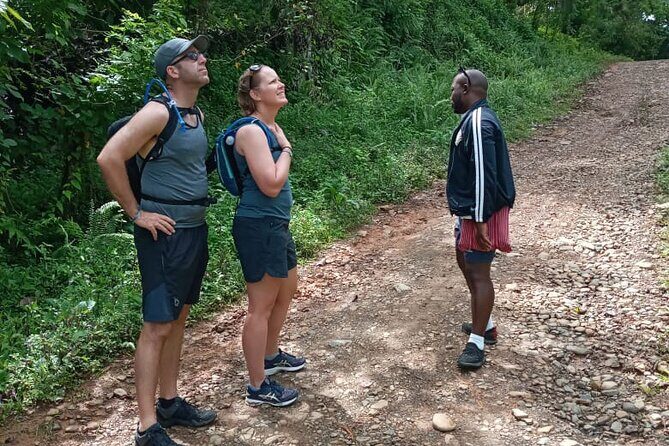 Private Tour in Miches with La Jarda Waterfall Experience - Price and value: is $180 per person worth it?