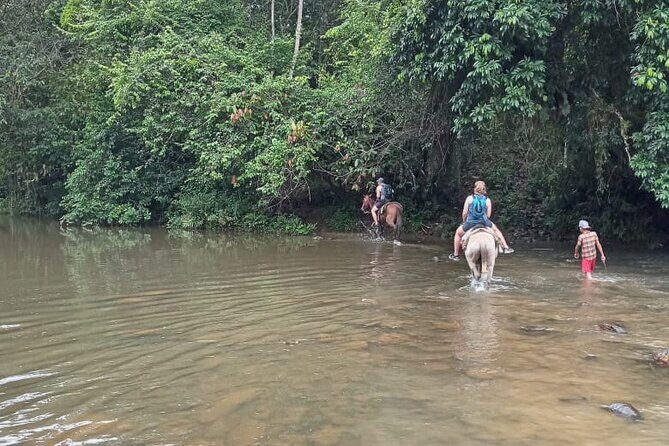 Private Tour in Miches with La Jarda Waterfall Experience - Coffee and cacao forests + shaded paths: part of the magic on the way to the falls