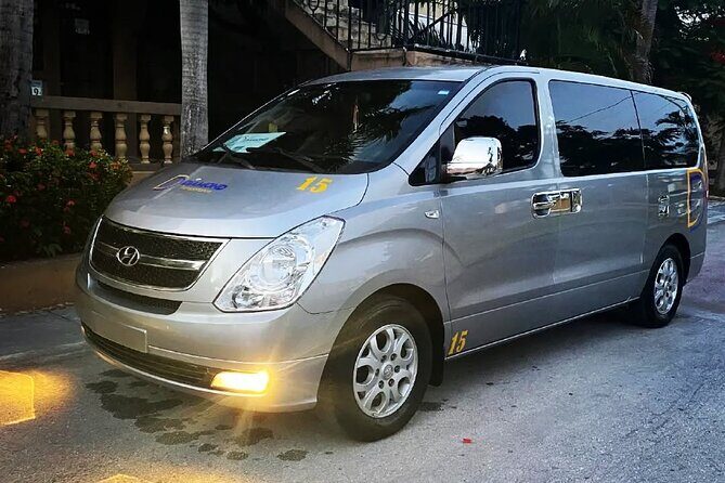 Private transfer between Punta Cana airport and Riu hotel - Who This Transfer Works Best For (And Who Might Want Something Else)