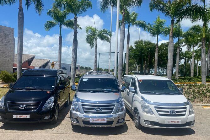 Private Transfer Between Punta Cana and Bavaro - Hotel Lobby Pickup: Going From Resort to the Airport