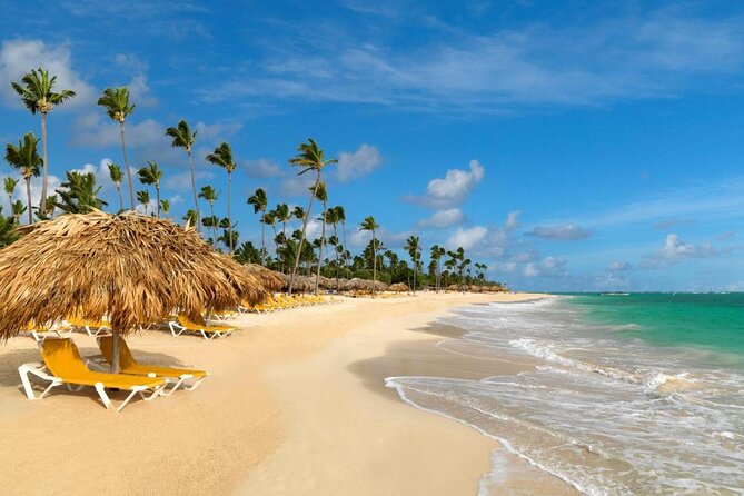 Private Transfer from Punta Cana Airport or Iberostar Punta Cana - SMS Communication With Julio: Why It’s More Than a Convenience