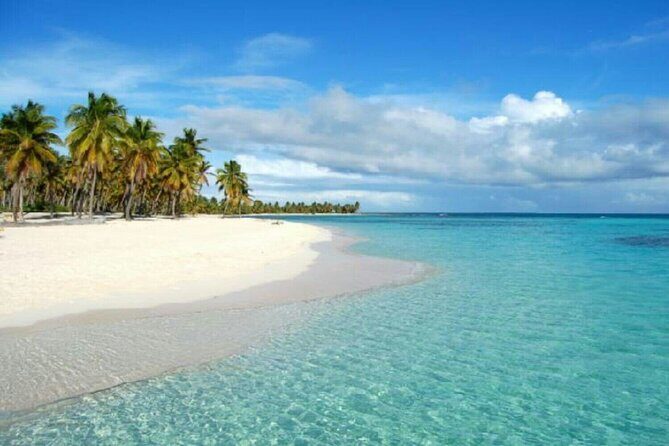 Private Transfer From Punta Cana Airport to Cap Cana, Cabeza de Toro and Bavaro - Ride Experience: Private, Fast, and Focused on Getting You There