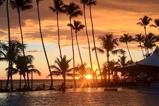 Private Transfer From Punta Cana Airport to Cap Cana, Cabeza de Toro and Bavaro - The Pickup Day: Flight Info, Your Hotel Name, and a Mobile Ticket