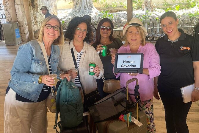 Private Transfer from Punta Cana Airport to Your Hotel - Who This Private Transfer Is Best For