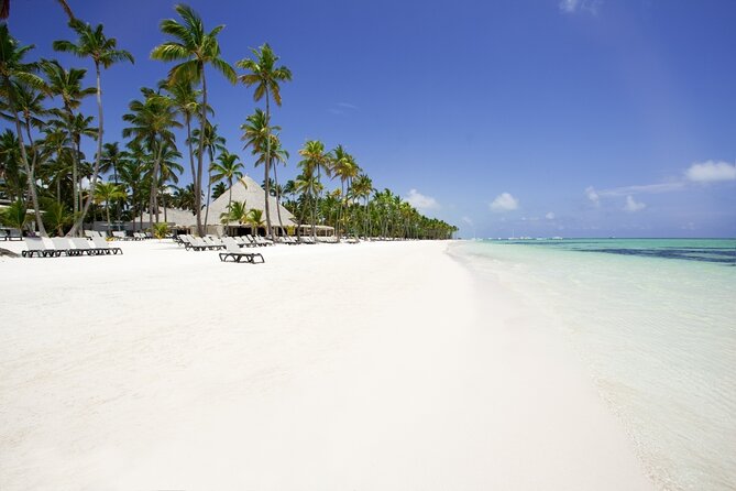 Private Transfer Punta Cana Airport to/from Barcelo Bavaro Beach - The 25-minute ride to Barcelo Bavaro Beach: comfort first