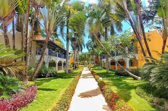 Private Transfer Punta Cana Airport to/from Catalonia Royal La Romana - What the Driver Does When You Arrive