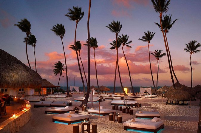 Private Transfer Punta Cana Airport to/from Paradisus Palma Real - Who Should Book This Transfer (and Who Might Skip It)