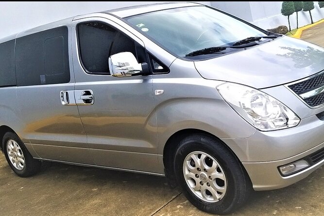private transfer standard and premium punta cana airport / samana / galera - Service Animals and Who This Transfer Fits Best