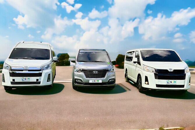 Private Transfer to/from Punta Cana Airport - Driver experience: bilingual, punctual, and vehicle condition