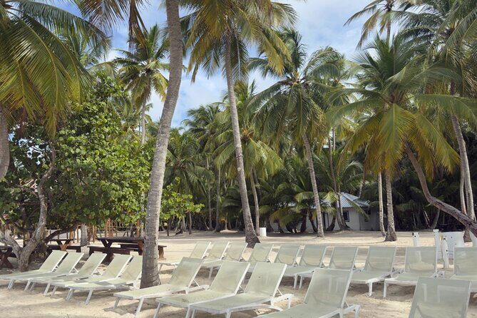 PRIVATE VIP tour Saona Island with Snorkeling, Starfish, Turtles - Private VIP value: what $440 buys you (and what it doesn’t)