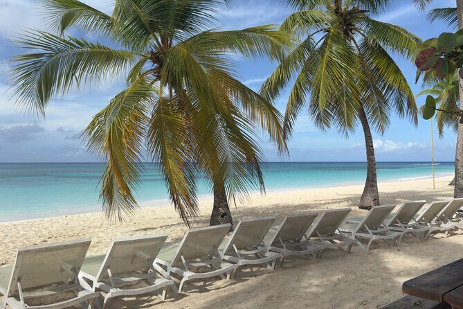 PRIVATE VIP tour Saona Island with Snorkeling, Starfish, Turtles - Should you book this VIP Saona tour?