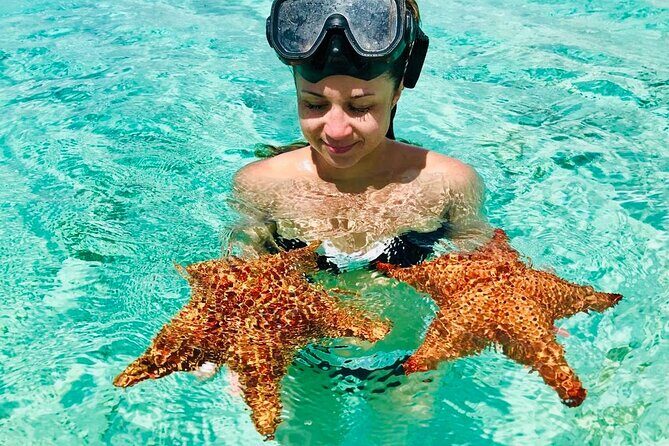 PRIVATE VIP tour Saona Island with Snorkeling, Starfish, Turtles - Snorkeling in clear water: what to expect and how to get the best views