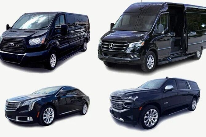 Private & VIP Transfers Puntacana airport/ hotels-luxury services - What Makes This Ride Feel Like a Real Upgrade