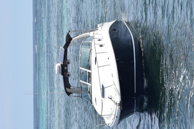 Private VIP Yacht in Punta Cana - The Private Beach Stop: Palm Shade and Fresh Coconuts
