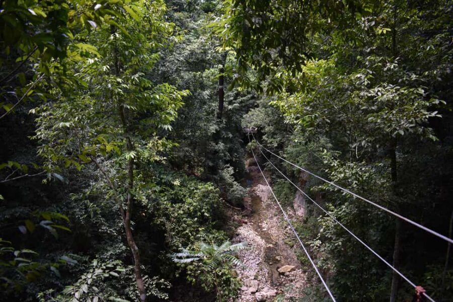 Puerto Plata/Amber Cove: Zipline and Waterfalls with Lunch - Puerto Plata zipline + waterfall days are all about timing