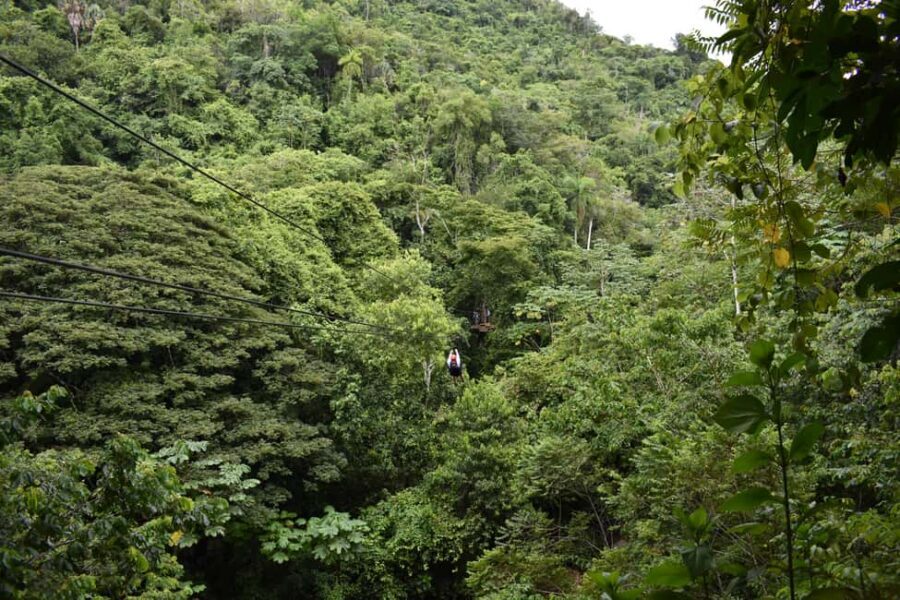 Puerto Plata/Amber Cove: Zipline and Waterfalls with Lunch - Who this tour is best for—and who should skip it
