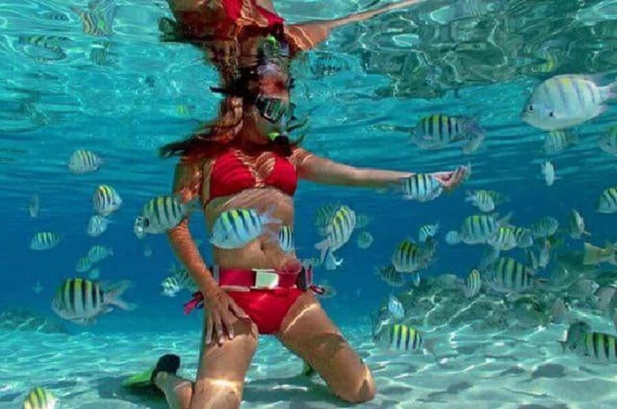 Puerto Plata: Cayo Arena Tour with Snorkeling and Mangroves - Mangrove National Park by boat: switching from reef to canals