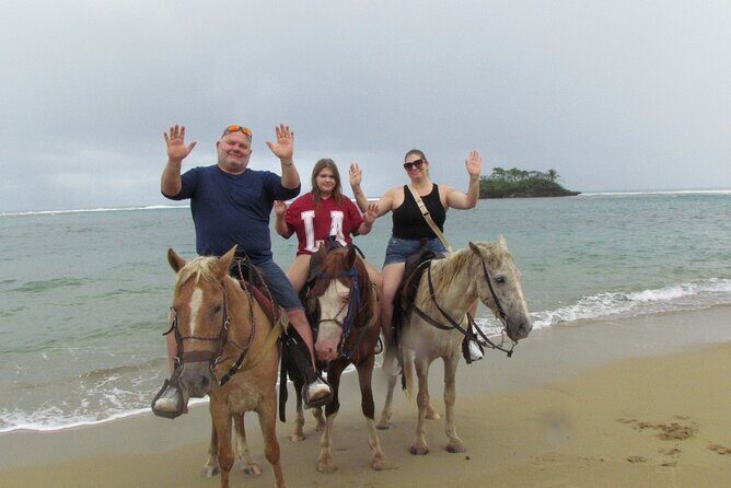 Puerto Plata City Horseback Riding Tour ,Rios,Beaches and Countryside - Transportation, Pickup, and How Smooth the Day Feels