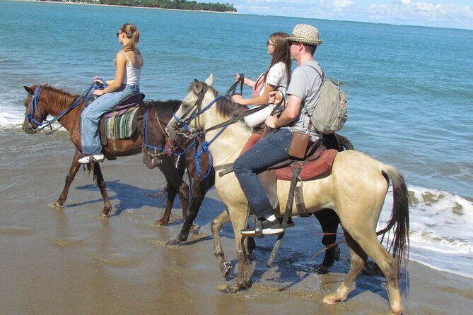 Puerto Plata City Horseback Riding Tour ,Rios,Beaches and Countryside - Who Should Book This Tour (and Who Should Skip It)
